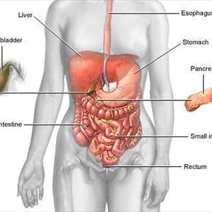 Symptoms Of A Nervous Stomach - Using Hypnotherapy To Beat IBS
