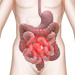 Ibs Research Center - Irritable Bowel Syndrome - IBS