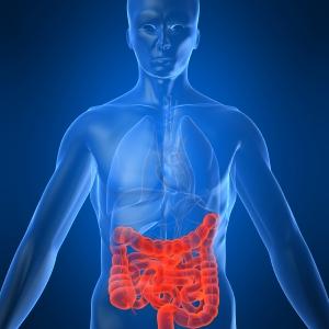  Irritable Bowel Syndrome Treatment 