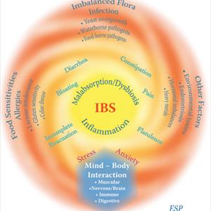 Diet For Gerd And Ibs 